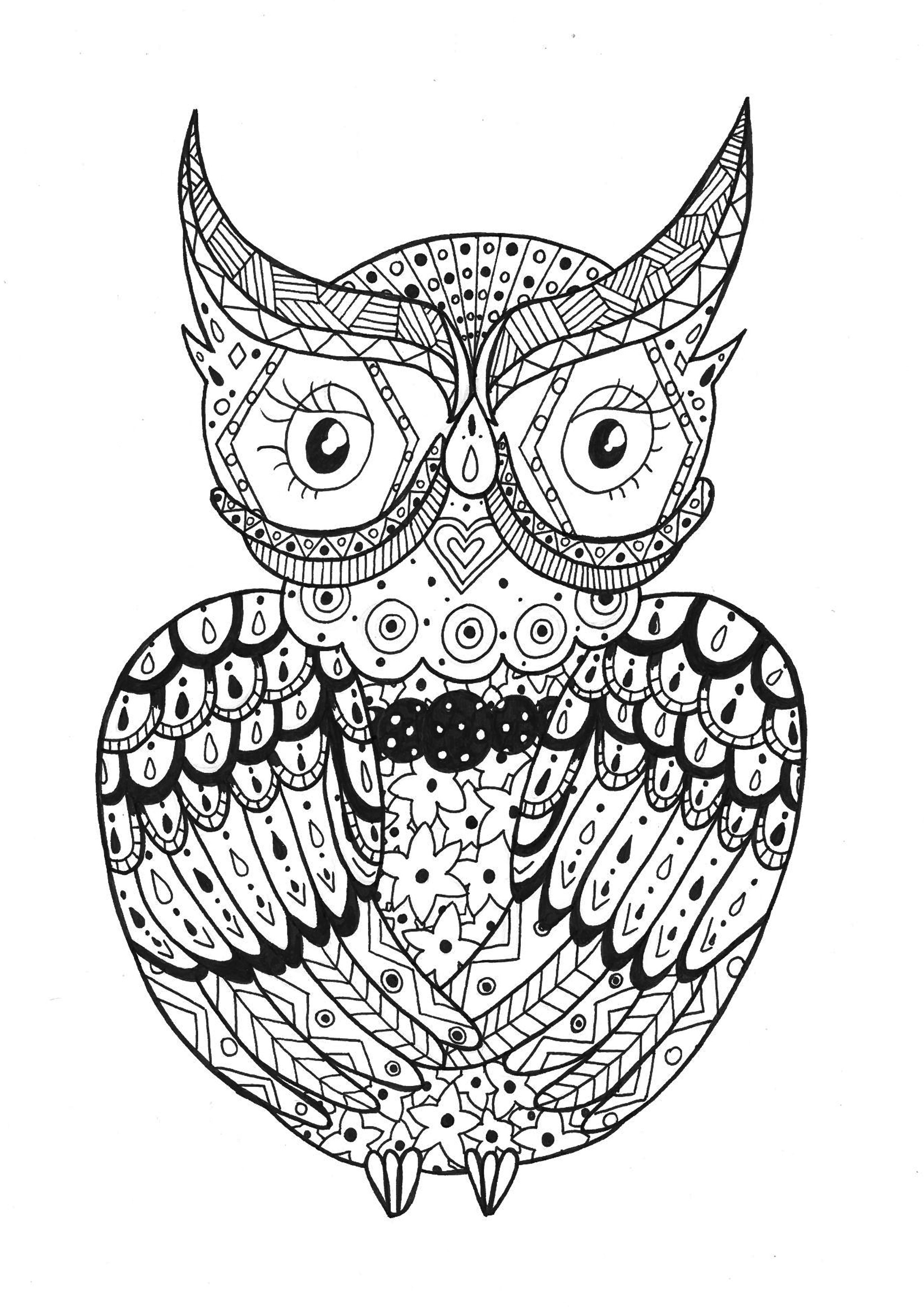Zentangle Coloring Sheets For Boys
 Owl zentangle rachel Zentangle Adult Coloring Pages