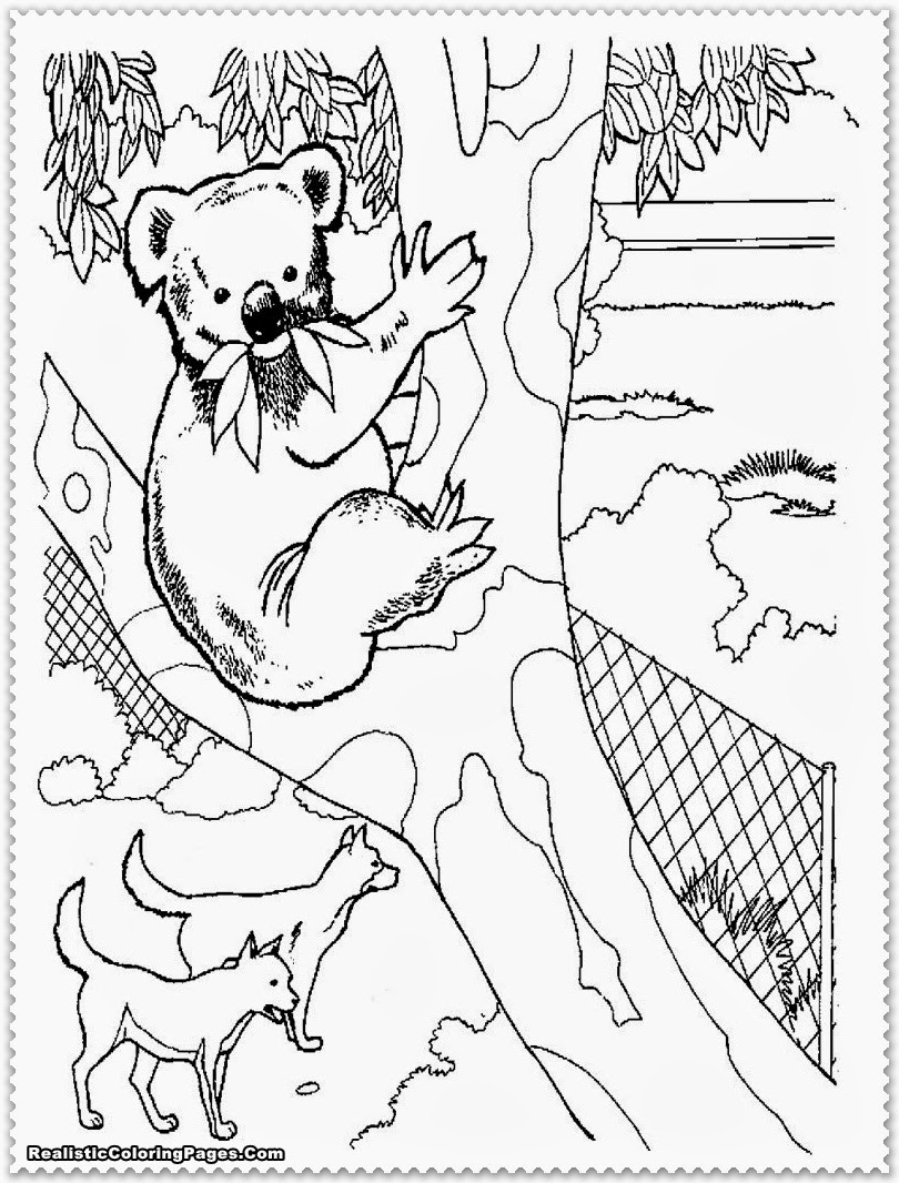 Zoo Animals Coloring Pages
 Zoo Animal Coloring Pages