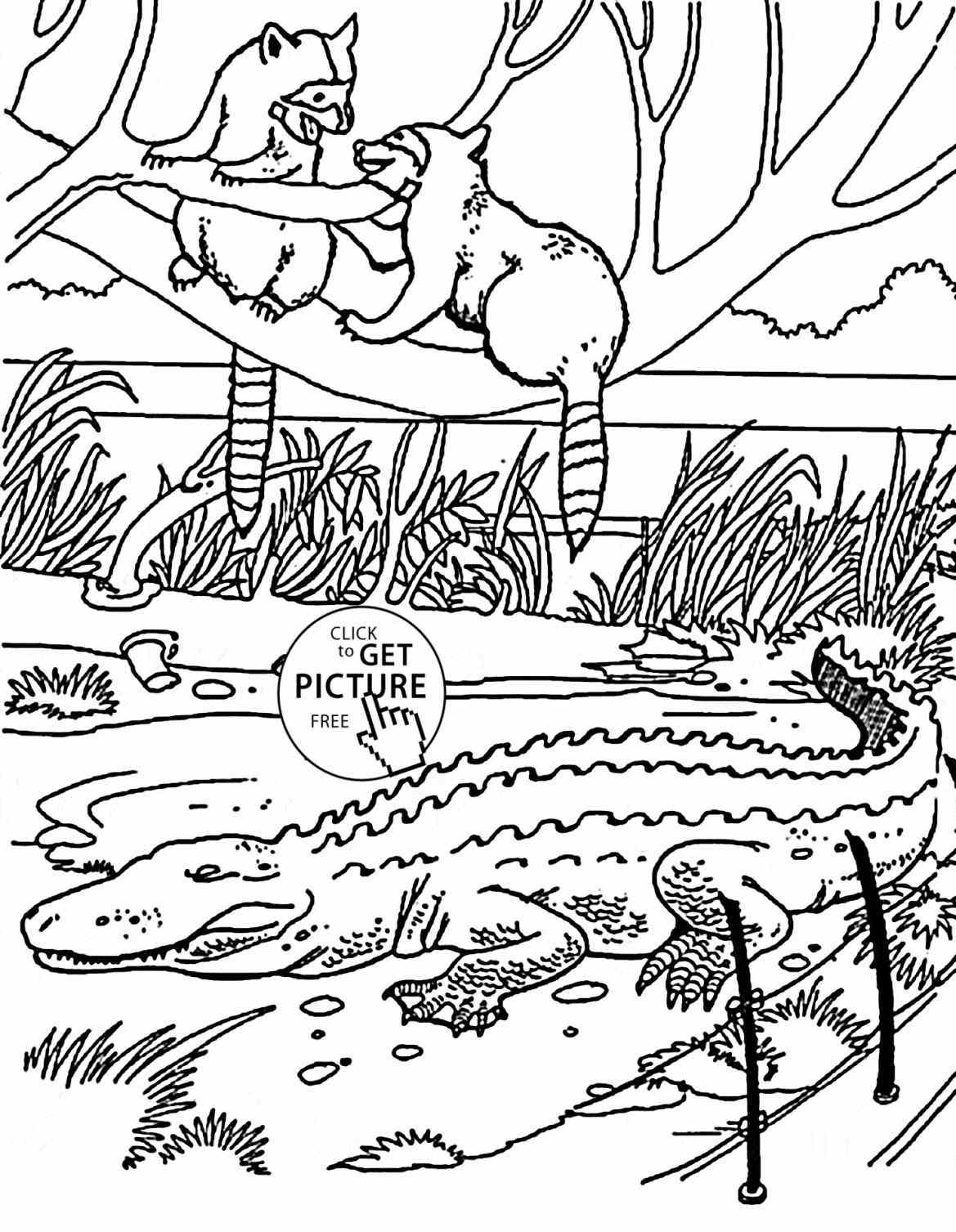 Zoo Coloring Sheets For Kids
 Z Is For Zoo Coloring Page Image Clipart grig3
