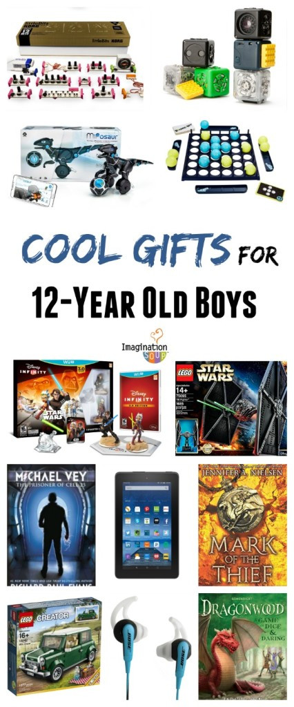 Best ideas about 12 Year Old Christmas Gift Ideas
. Save or Pin Gifts for 12 Year Old Boys Now.