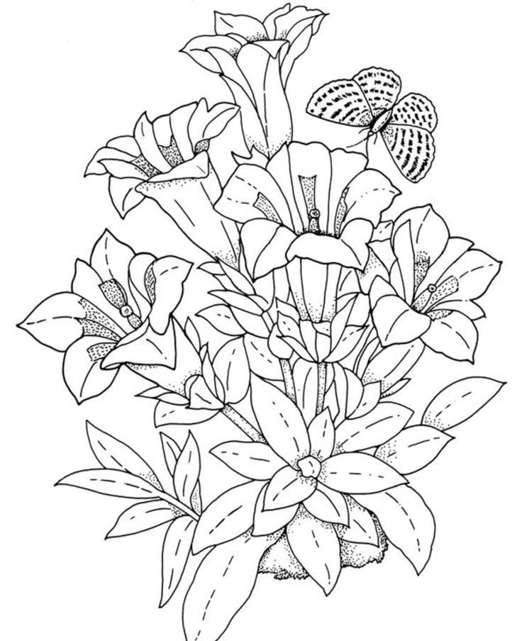 Best ideas about Adult Coloring Books Flowers
. Save or Pin Realistic Flower Coloring Pages Now.