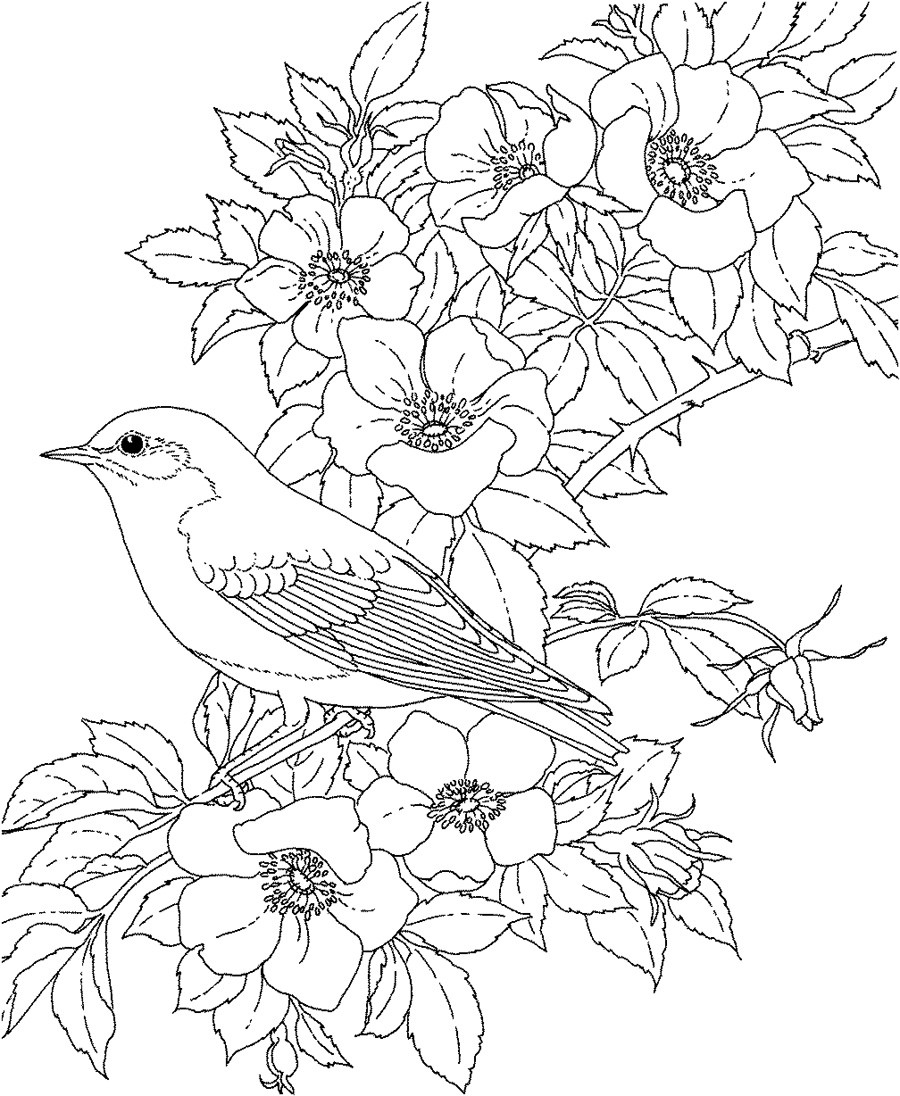 Best ideas about Adult Coloring Books Flowers
. Save or Pin Flower Coloring Pages For Adults Now.