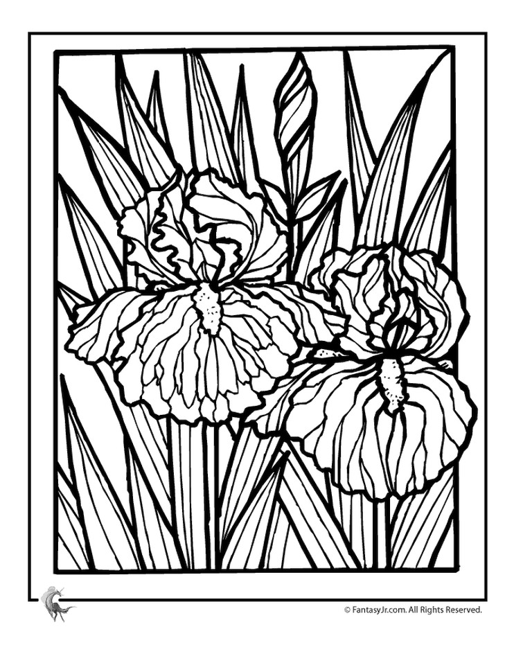 Best ideas about Adult Coloring Books Flowers
. Save or Pin Get This detailed flower coloring pages for adults Now.