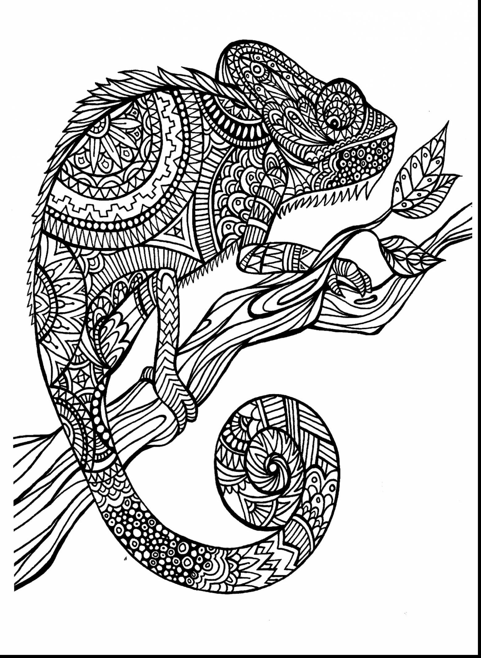 Best ideas about Adult Coloring Books For Men
. Save or Pin Animorphia Owls Hard Adult Animal Coloring Pages Printable Now.