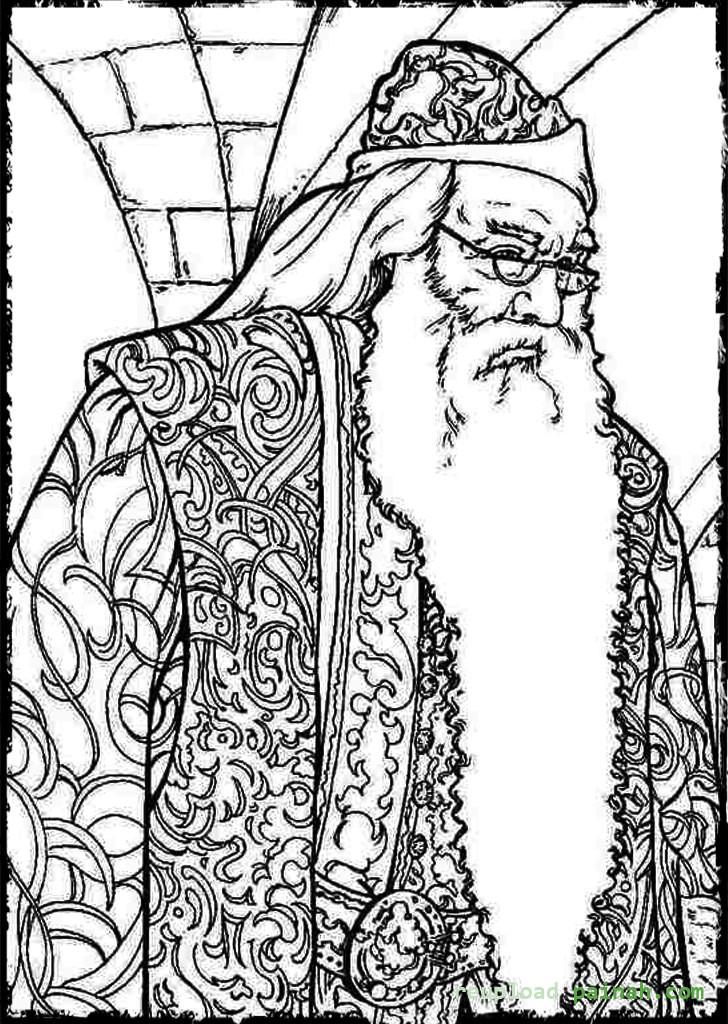 Best ideas about Adult Coloring Books Harry Potter
. Save or Pin Harry Potter Coloring Pages Printable Cartoon Cute Now.