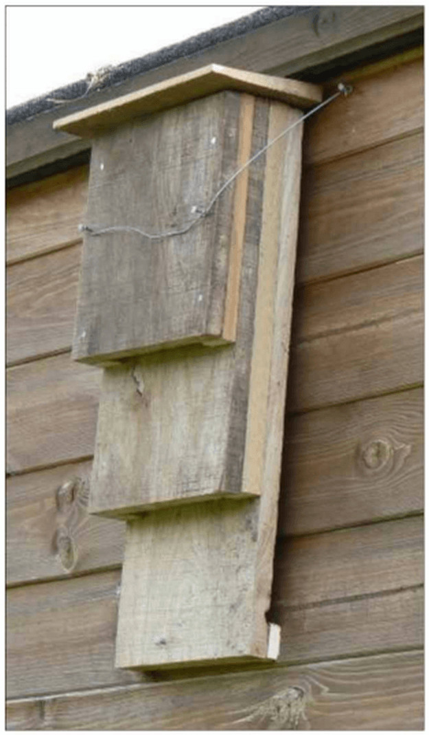 Best ideas about Bat Boxes DIY
. Save or Pin Bat House Ideas Worth Hanging Around For Now.