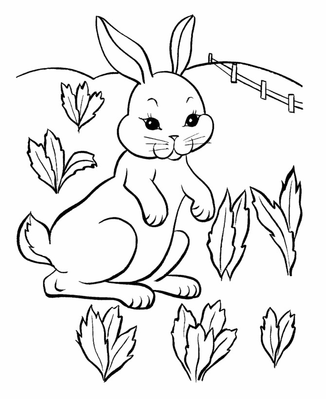 Best ideas about Bunny Coloring Sheet
. Save or Pin Free Printable Rabbit Coloring Pages For Kids Now.