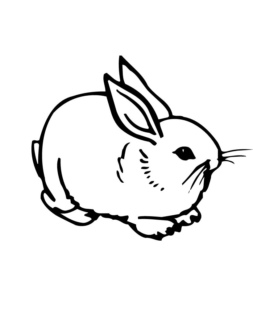 Best ideas about Bunny Coloring Sheet
. Save or Pin Free Printable Rabbit Coloring Pages For Kids Now.