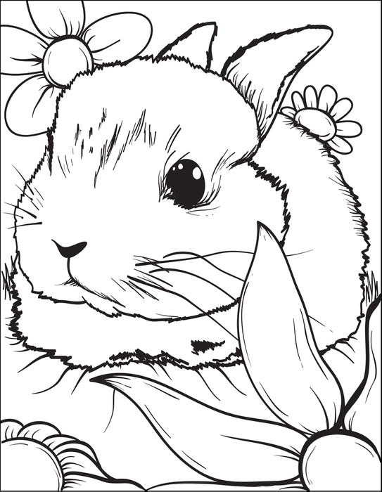 Best ideas about Bunny Coloring Sheet
. Save or Pin Bunny Coloring Pages Best Coloring Pages For Kids Now.