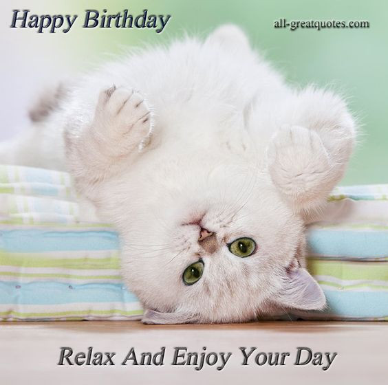 Best ideas about Cat Birthday Wishes
. Save or Pin Happy Birthday Relax And Enjoy Your Day Happy Birthday Now.