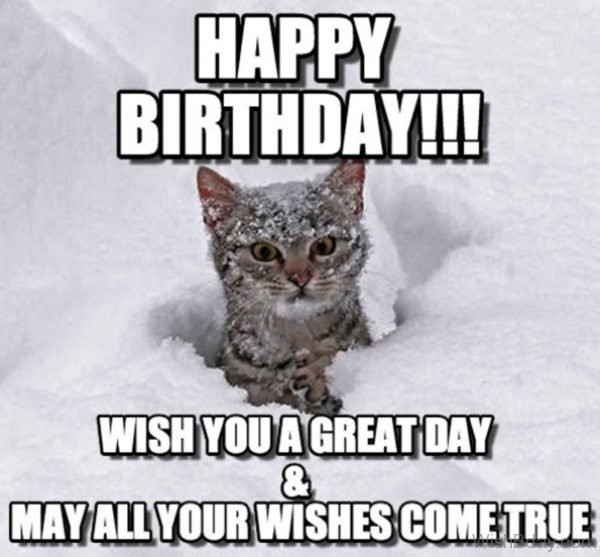 Best ideas about Cat Birthday Wishes
. Save or Pin 86 Cat Birthday Wishes Now.