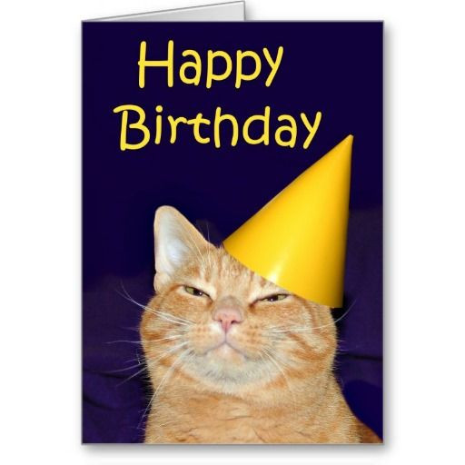 Best ideas about Cat Birthday Wishes
. Save or Pin 17 best images about Cat Birthday Cards on Pinterest Now.