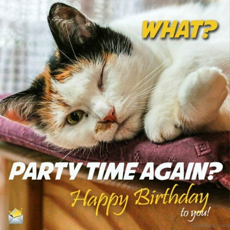 Best ideas about Cat Birthday Wishes
. Save or Pin 86 Cat Birthday Wishes Now.