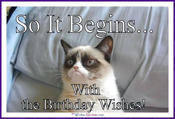 Best ideas about Cat Birthday Wishes
. Save or Pin Happy Birthday Memes with Funny Cats Dogs and Cute Animals Now.