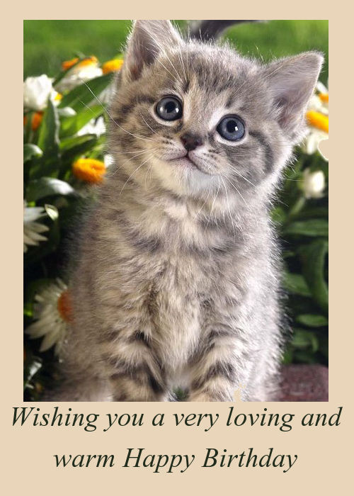 Best ideas about Cat Birthday Wishes
. Save or Pin Happy Birthday Wishes With Kittens Now.