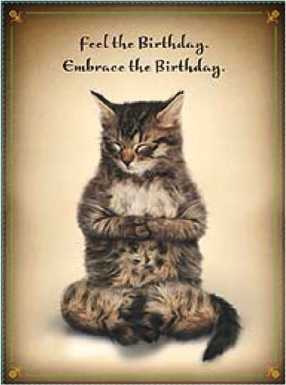 Best ideas about Cat Birthday Wishes
. Save or Pin Cat Memes Happy Birthday Cat Memes Funny Cat Memes Now.