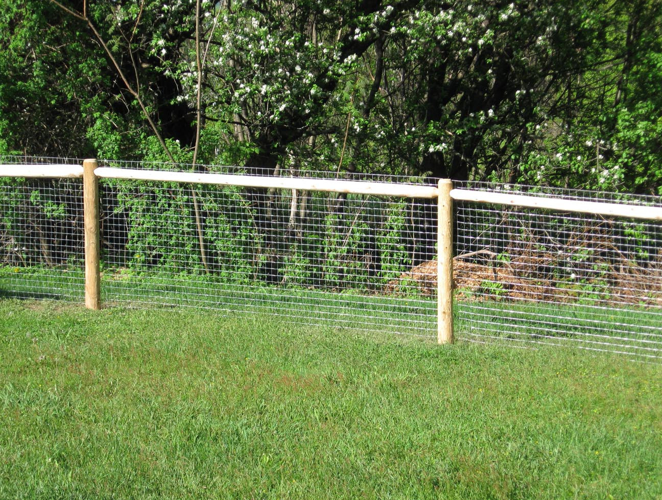 Best ideas about Cheap DIY Fencing For Dogs
. Save or Pin Cheap Fence Ideas For Dogs In DIY Reusable And Portable Now.