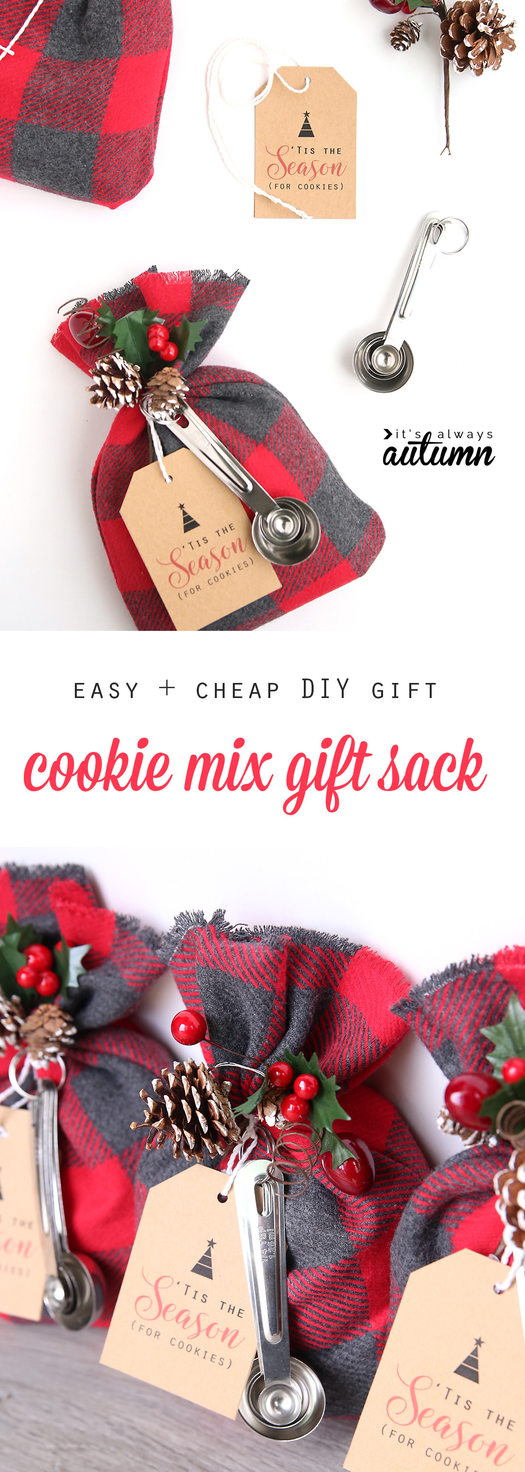 Best ideas about Christmas DIY Gifts
. Save or Pin cookie mix t sack Now.