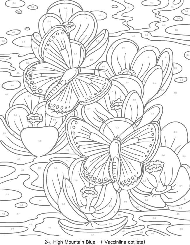 Best ideas about Color By Number Adult Coloring Books
. Save or Pin Best 25 Adult color by number ideas on Pinterest Now.