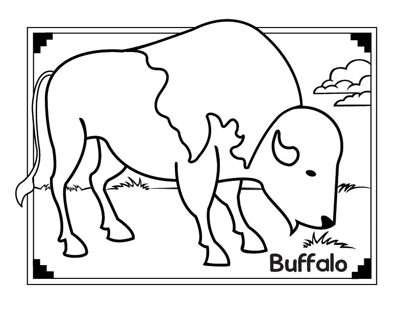 Best ideas about Coloring Pages For Boys Bufulo
. Save or Pin African Buffalo coloring page Animals Town Free Now.