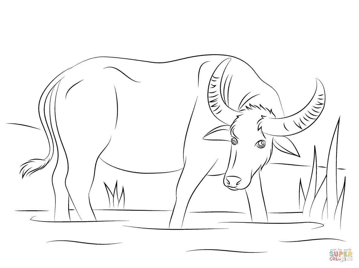Best ideas about Coloring Pages For Boys Bufulo
. Save or Pin Water Buffalo coloring page Now.