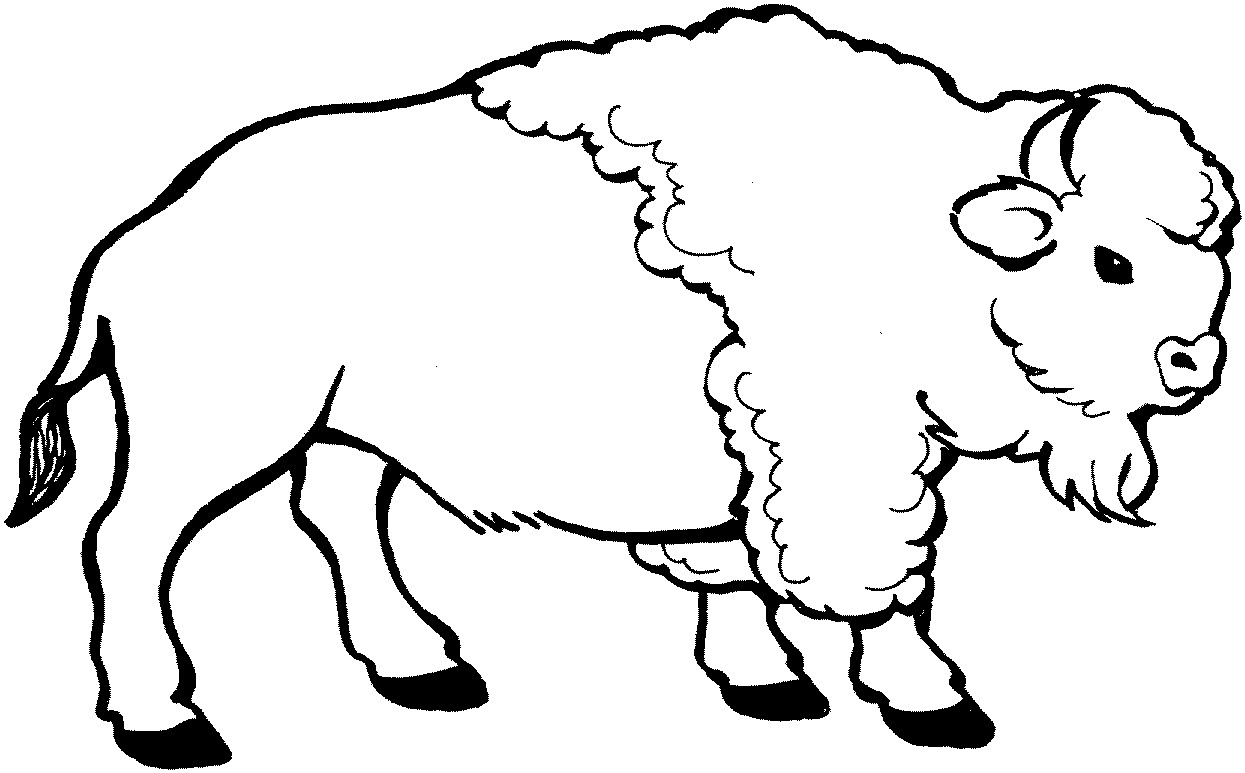 Best ideas about Coloring Pages For Boys Bufulo
. Save or Pin Free Buffalo and Bison Coloring Pages Now.