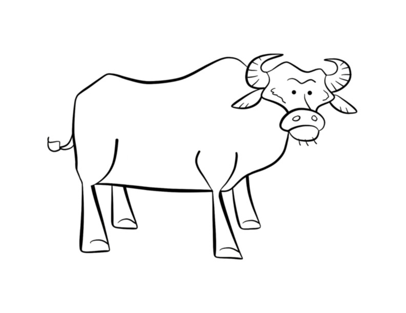 Best ideas about Coloring Pages For Boys Bufulo
. Save or Pin Buffalo Outline Coloring Home Now.