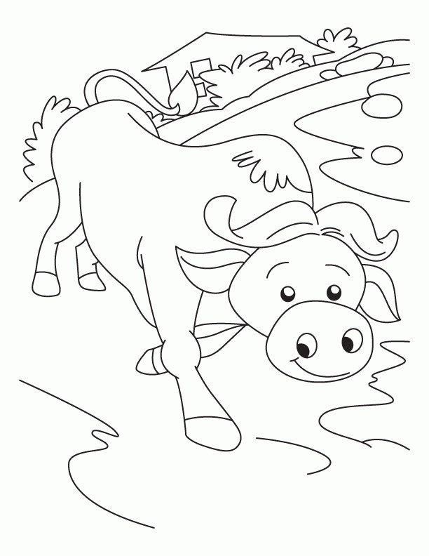 Best ideas about Coloring Pages For Boys Bufulo
. Save or Pin Buffalo Outline Coloring Home Now.