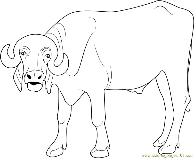 Best ideas about Coloring Pages For Boys Bufulo
. Save or Pin Indian Buffalo Coloring Page Free Buffalo Coloring Pages Now.