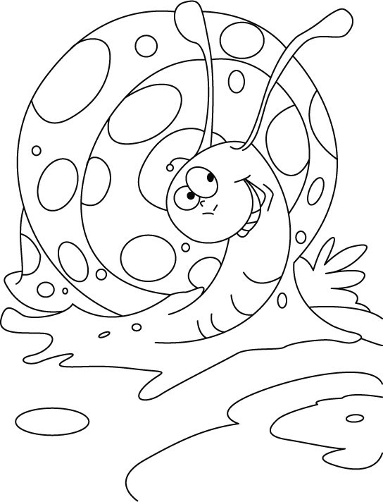 Best ideas about Coloring Pages For Girls Snails
. Save or Pin Snail coloring pages to and print for free Now.