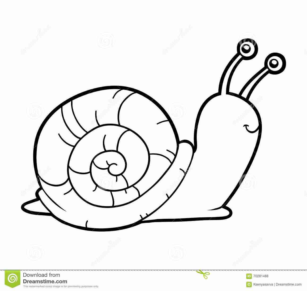Best ideas about Coloring Pages For Girls Snails
. Save or Pin Noted Hiccup And Toothless Coloring Pages Stroking Night Now.