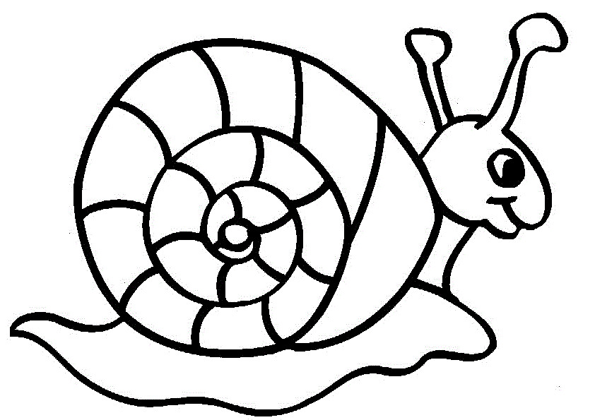 Best ideas about Coloring Pages For Girls Snails
. Save or Pin Cute Snail Animal Snails Pinterest Now.