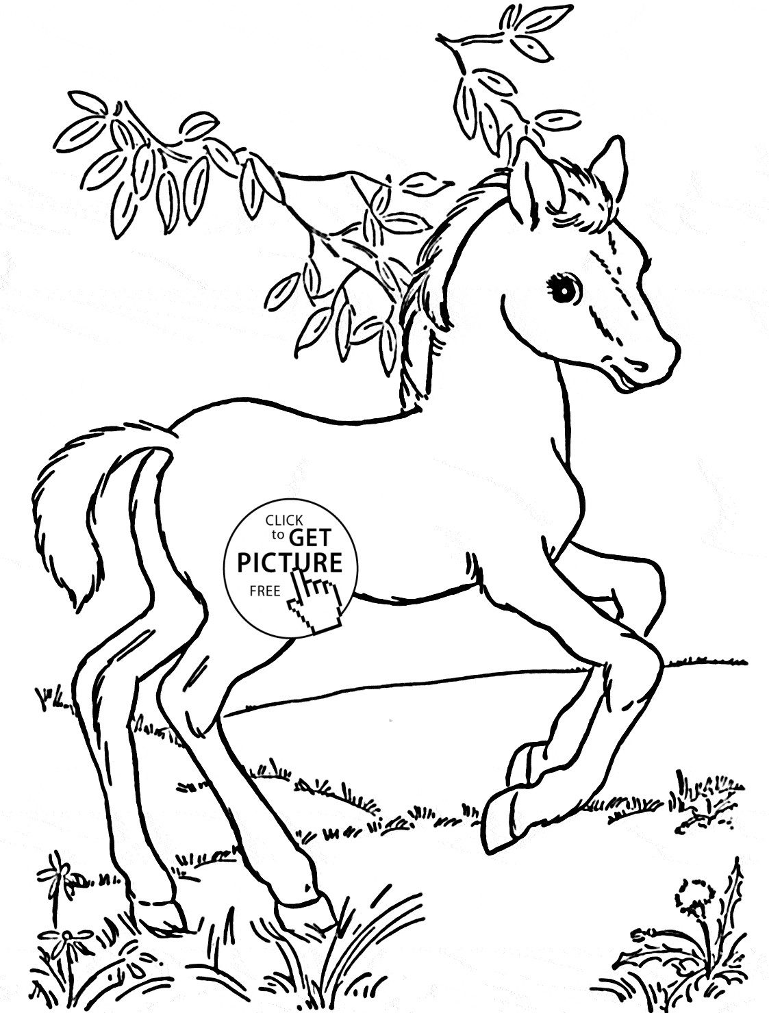 Best ideas about Coloring Sheets For Girls Horses
. Save or Pin Baby Horse Pony coloring page for kids for girls coloring Now.