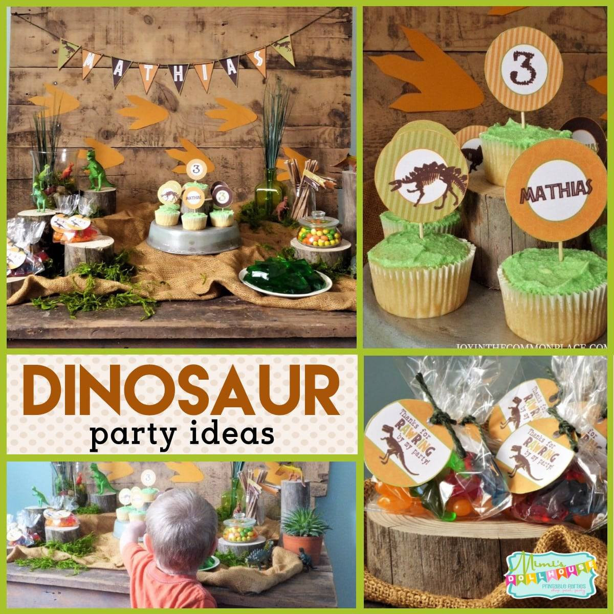 Best ideas about Dinosaur Birthday Party Supplies
. Save or Pin Dinosaur Party Rustic Dinosaur Birthday Party Decorations Now.