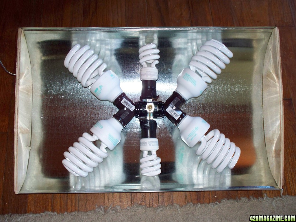 Best ideas about DIY Cfl Grow Lights
. Save or Pin DIY CFL Reflector How To Simple Cheap & Effective Now.