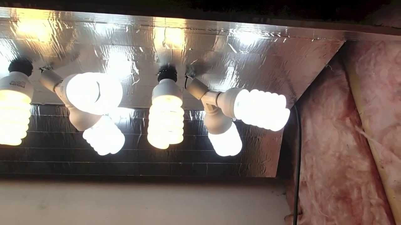 Best ideas about DIY Cfl Grow Lights
. Save or Pin Easy DIY CFL Grow light Now.