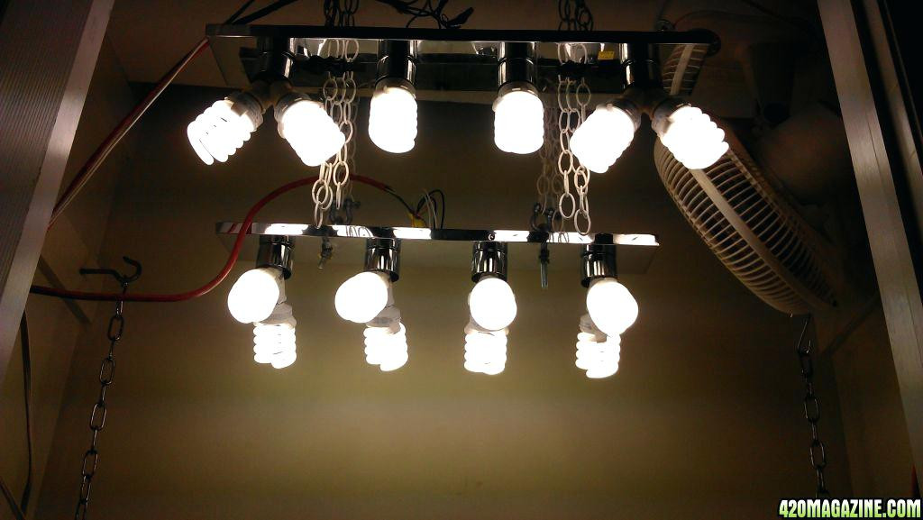Best ideas about DIY Cfl Grow Lights
. Save or Pin Diy Cfl Grow Light Fixture How To Grow Weed With Grow Weed Now.