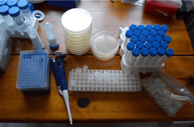 Best ideas about DIY Crispr Kit
. Save or Pin Crowdfunding Campaign to Fund DIY CRISPR Gene Editing Now.