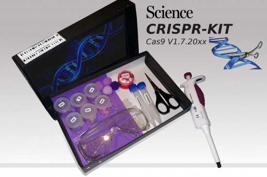 Best ideas about DIY Crispr Kit
. Save or Pin Make you own CRISPR Kit Hackteria Wiki Now.