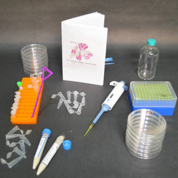 Best ideas about DIY Crispr Kit
. Save or Pin Sparta Education Foundation Funds Two New Grants Sparta Now.