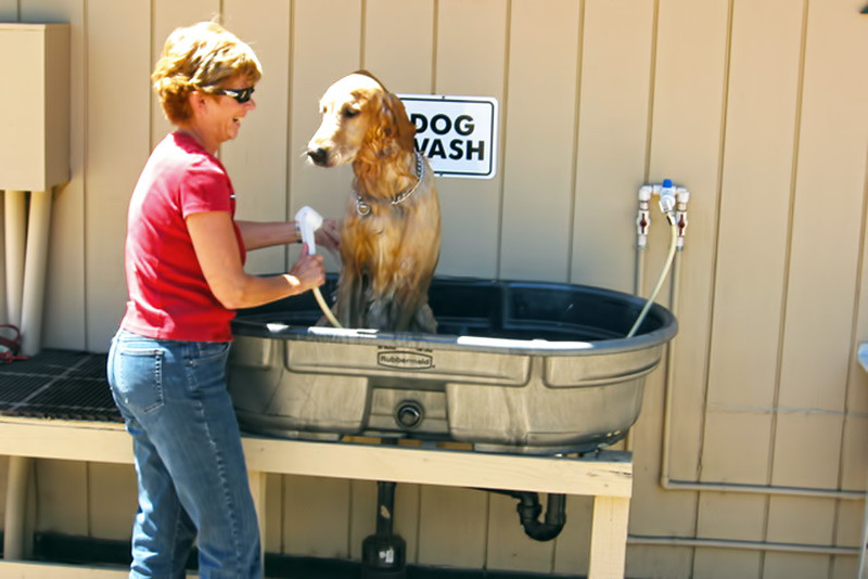 Best ideas about DIY Dog Bathing
. Save or Pin s of Pioneer RV Park’s Sierra Nevada Mountain Location Now.