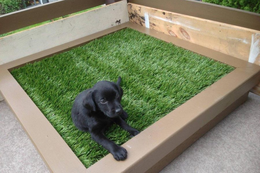 Best ideas about DIY Dog Bed Ideas
. Save or Pin 27 DIY Pet Bed Ideas For Your Inspiration InteriorSherpa Now.