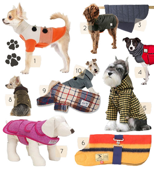 Best ideas about DIY Dog Coat
. Save or Pin 10 Great Dog Coats DIY Projects – Design Sponge Now.