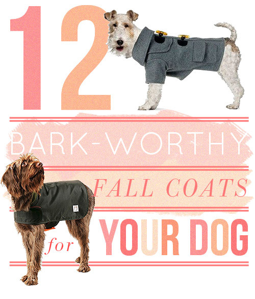 Best ideas about DIY Dog Coat
. Save or Pin 10 Great Dog Coats DIY Projects – Design Sponge Now.