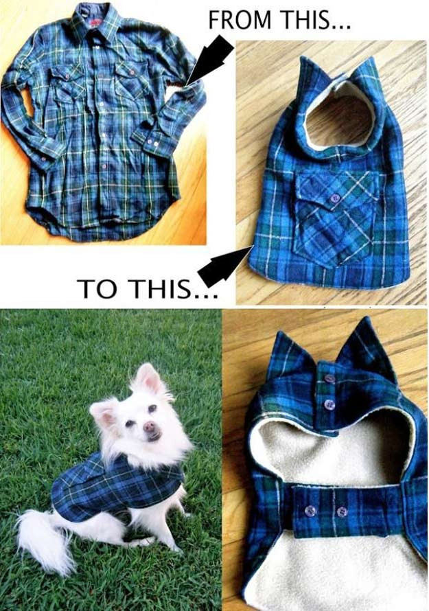 Best ideas about DIY Dog Coat
. Save or Pin 21 DIY Dog Clothes And Coats You Should Make Now.