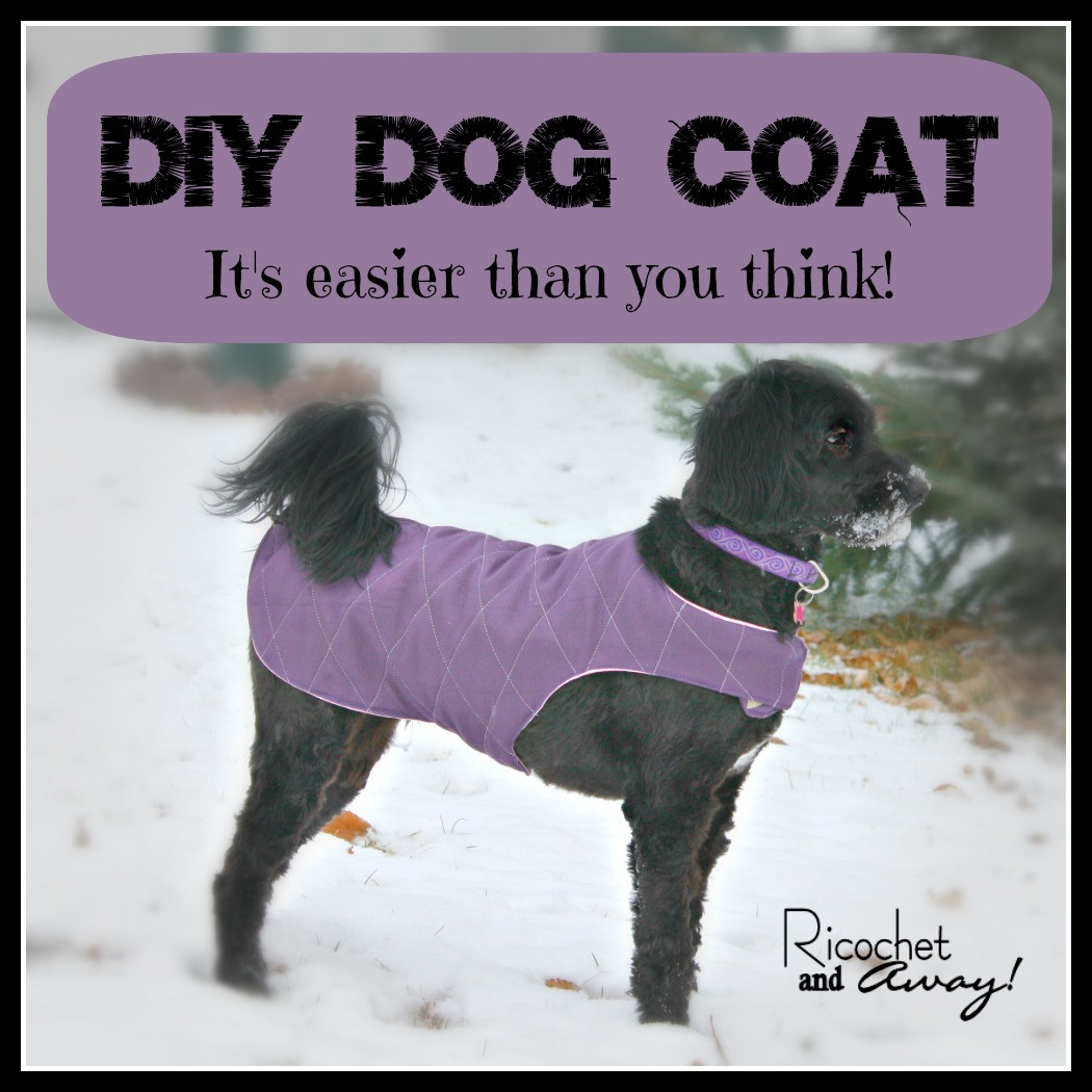 Best ideas about DIY Dog Coat
. Save or Pin Ricochet and Away DIY Dog Coat Now.