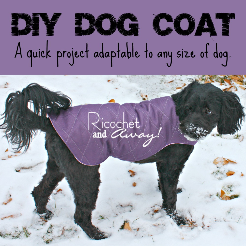 Best ideas about DIY Dog Coat
. Save or Pin Ricochet and Away DIY Dog Coat Now.