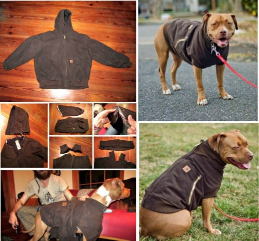 Best ideas about DIY Dog Coat
. Save or Pin DIY Dog Coat Pattern Quick and Easy Project Video Tutorial Now.