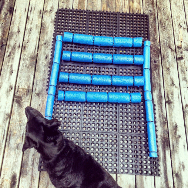 Best ideas about DIY Dog Pool Ramp
. Save or Pin DIY Dock & Boat Ramp for Dogs – Halifax Dogventures Now.