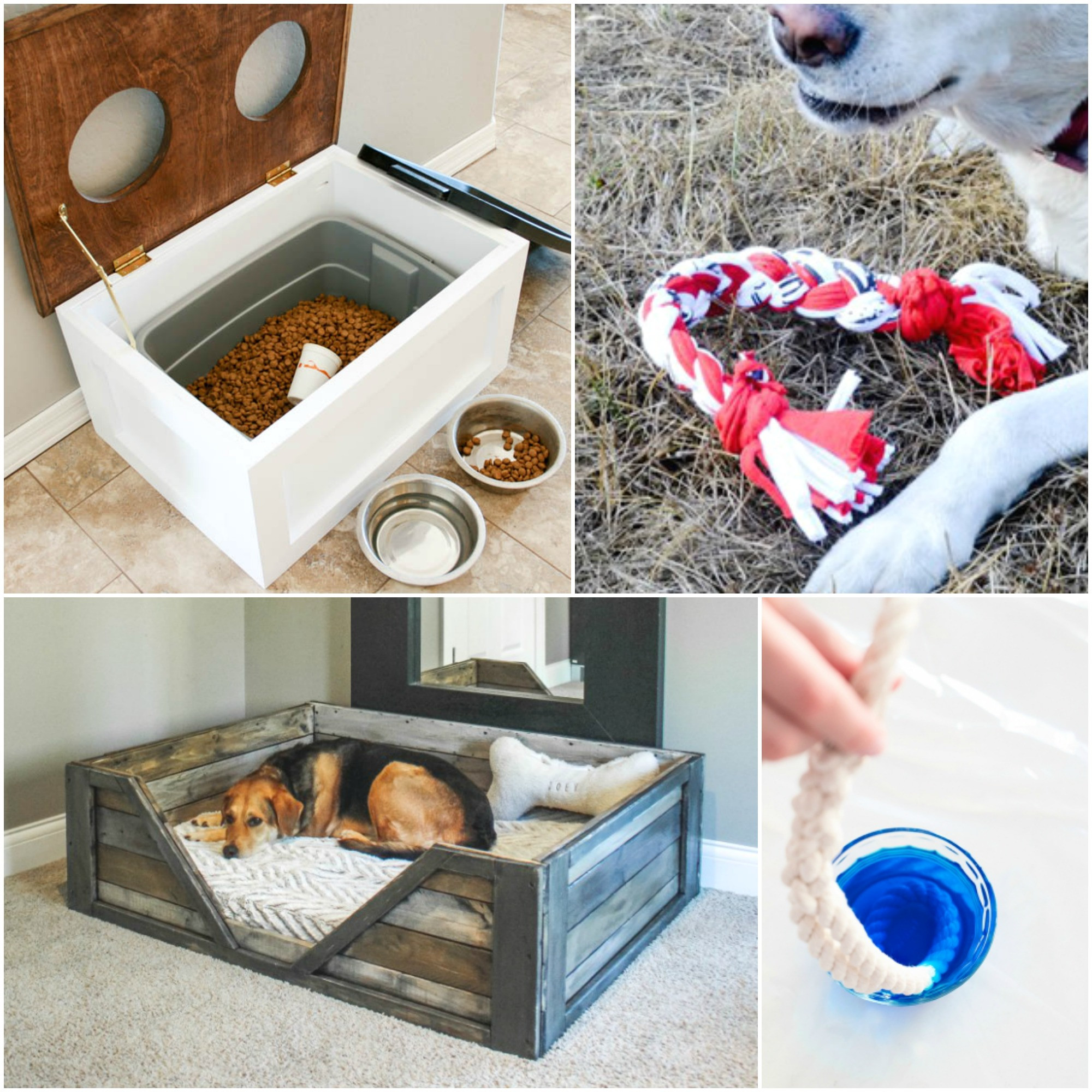 Best ideas about DIY Dog Projects
. Save or Pin 10 DIY Projects for Dog Lovers The Realistic Mama Now.